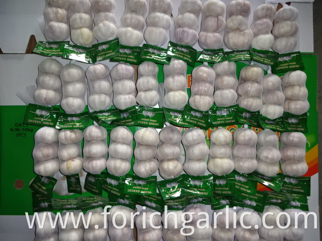 High Quality Fresh Garlic 5 0cm